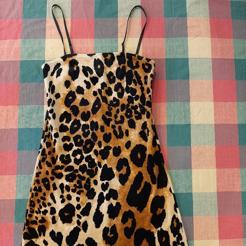 Cheetah Print Mini